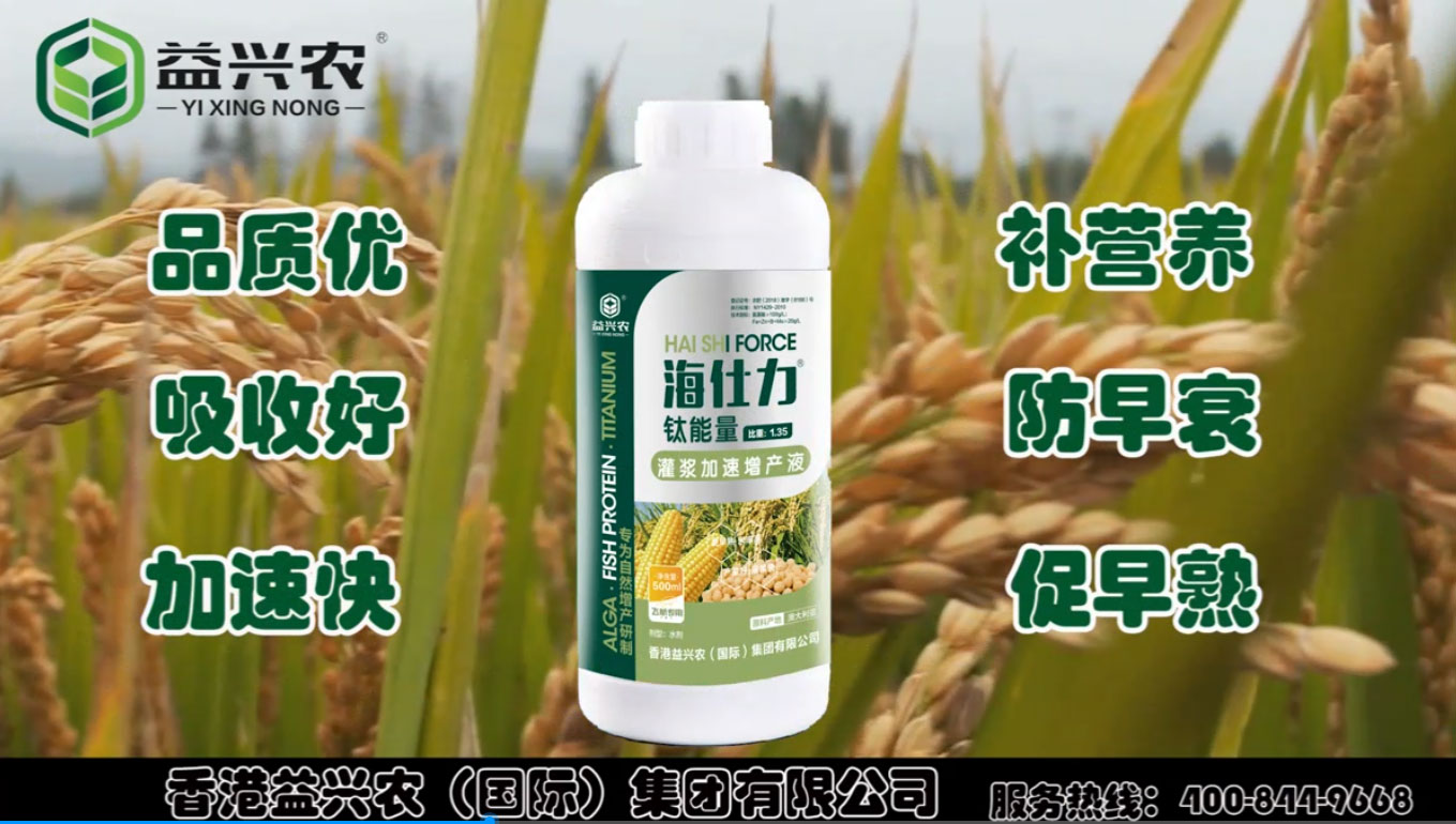 灌浆加速增产液