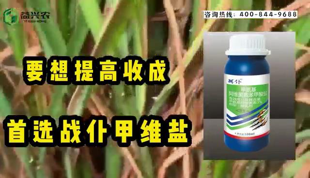 战仆甲维盐，内吸型杀虫剂